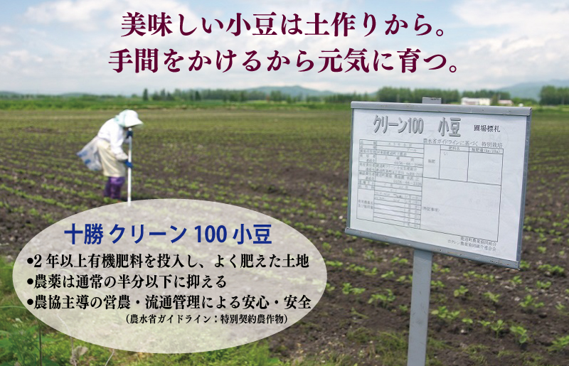 ã嵿¥80幎ãã€ã¶é€¡ åèš 2kg å°åã 1kgÃ2Pãæ³å· åèå ã¹ã€ãŒã ãããã ãããã¿ãŒã