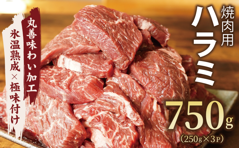 【氷温熟成×極味付け】牛肉 ハラミ 750g（250g×3） mrz0020