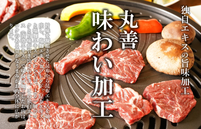 【氷温熟成×極味付け】牛肉 ハラミ 750g（250g×3） mrz0020