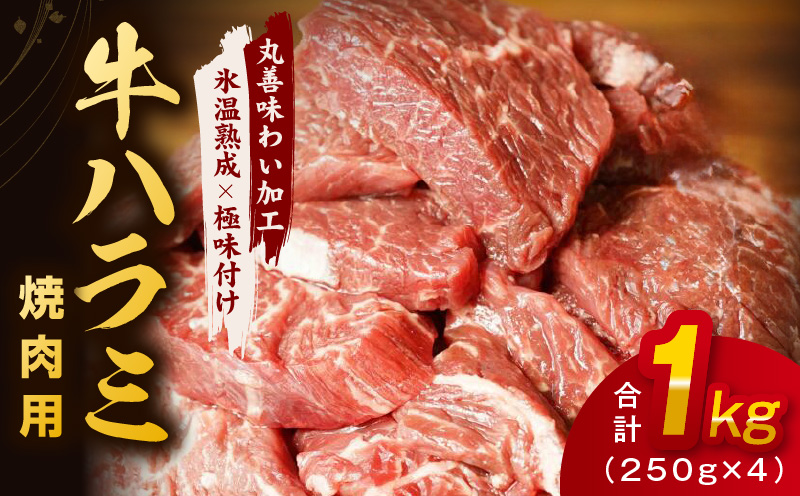 【氷温熟成×極味付け】牛肉 ハラミ 1kg（250g×4） mrz0021