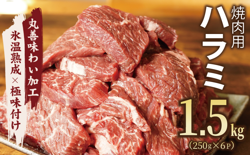 牛肉 ハラミ 1.5kg 小分け 250g×6P【氷温熟成×極味付け 牛肉 訳あり 不揃い 焼肉 BBQ 野菜炒め】 mrz0022