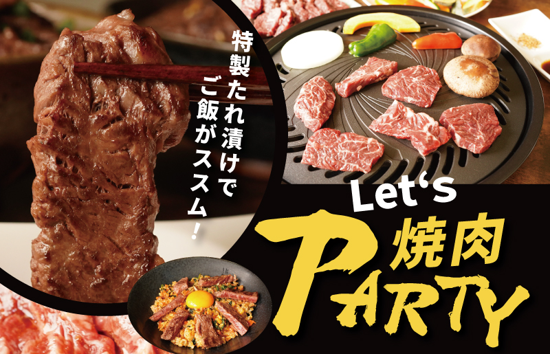 【丸善特製ダレ】牛肉 ハラミ 1.2kg（300×4） 099H2448