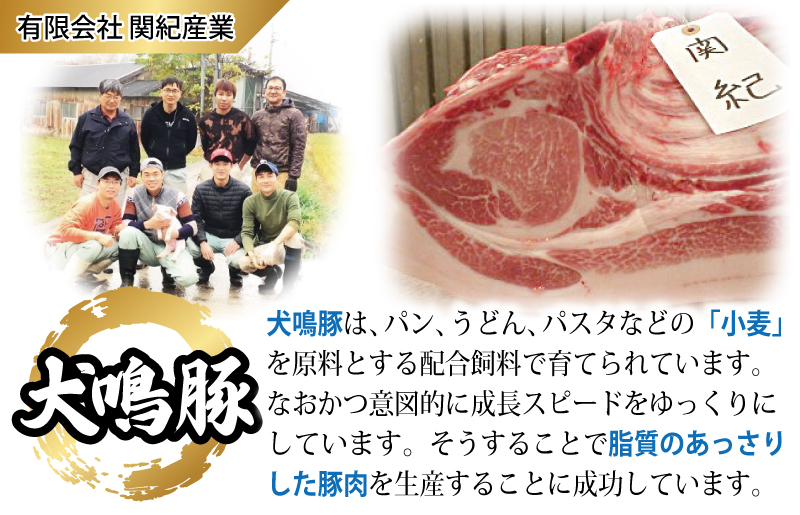 【泉佐野ブランド豚】 犬鳴豚の手作りコロッケ（15個入り）【国産 豚肉 泉佐野ブランド豚 犬鳴ポーク 普段使い】