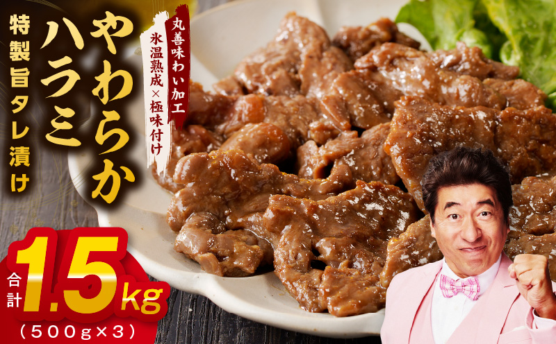 やわらかハラミ 1.5kg【氷温熟成×特製旨ダレ 味付き 牛肉 訳あり 不揃い 焼肉 BBQ 野菜炒め】 mrz0001