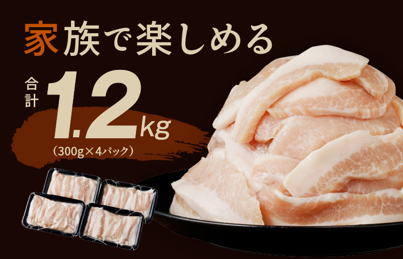 豚トロ 焼肉用 1.2kg 秘伝の塩だれ漬け 小分け 300g×4パック
 010B1294