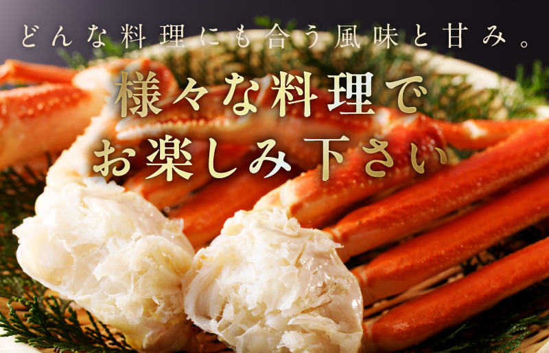 カニ ボイルズワイ蟹 800g（400g×2肩）約2-3人前 昆布仕立て