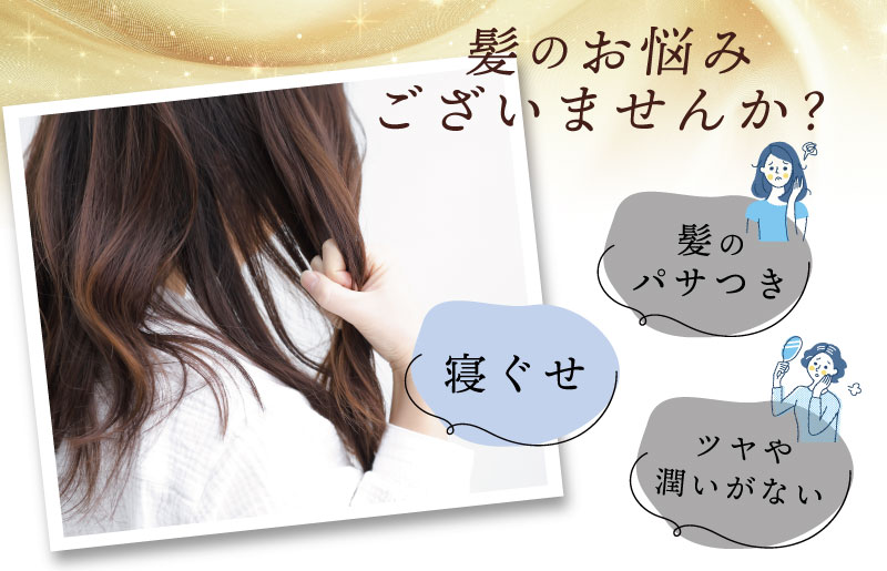 ã·ã«ã¯ ãã€ããã£ãã ãŽãŒã«ããé«è©äŸ¡ å¯å
· æ¥çšåã