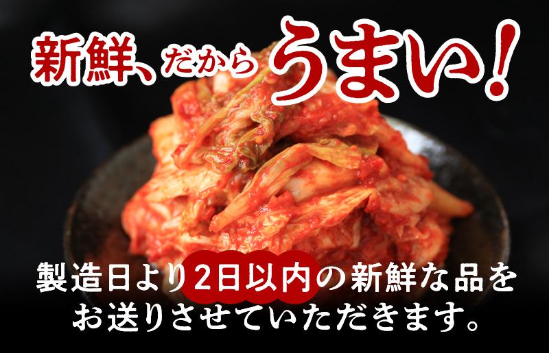 定期便 白菜キムチ 1kg × 6回 大好評 韓国【毎月配送コース】 099Z247