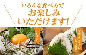 釜揚げしらす 1.6kg 訳あり 家庭用 完全無添加 うす塩仕立て G862-1
