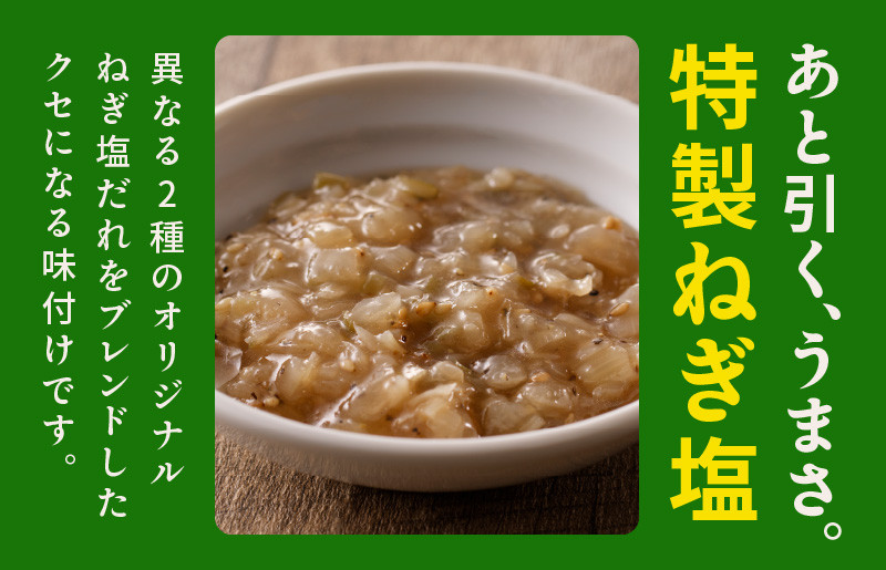 ねぎ塩 牛たん 480g 小分け 240g×2【牛タン 牛肉 焼肉用 薄切り 訳あり サイズ不揃い】 G1174