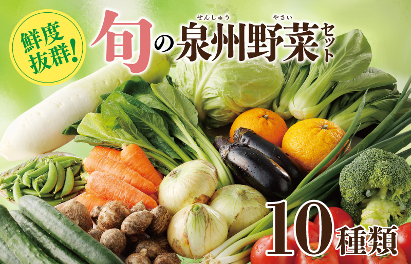 新鮮 野菜セット 10種類【国産 新鮮 おまかせ お楽しみ 旬 詰め合わせ 泉州野菜】 099H2491