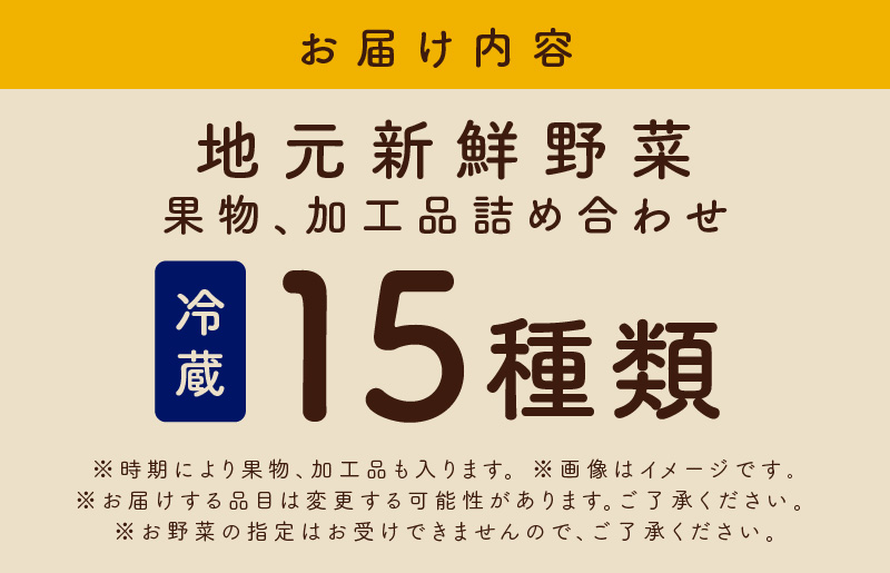 旬の野菜セット 詰め合わせ 15種類 国産 新鮮 お試し おまかせ お楽しみ 010B507