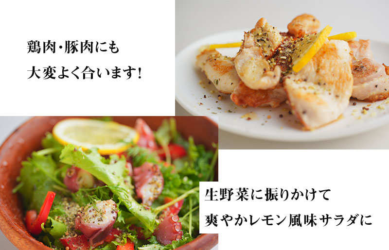 焼き肉専門店 レモン塩 スパイス 90g×3袋 お試し