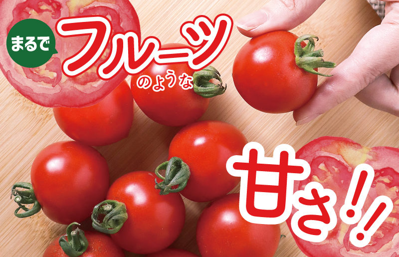 【先行予約】こだわり ミニトマト 4パック 合計 約1kg【新鮮 野菜 泉佐野産 とまと やさい 高評価 数量限定】 099H2506