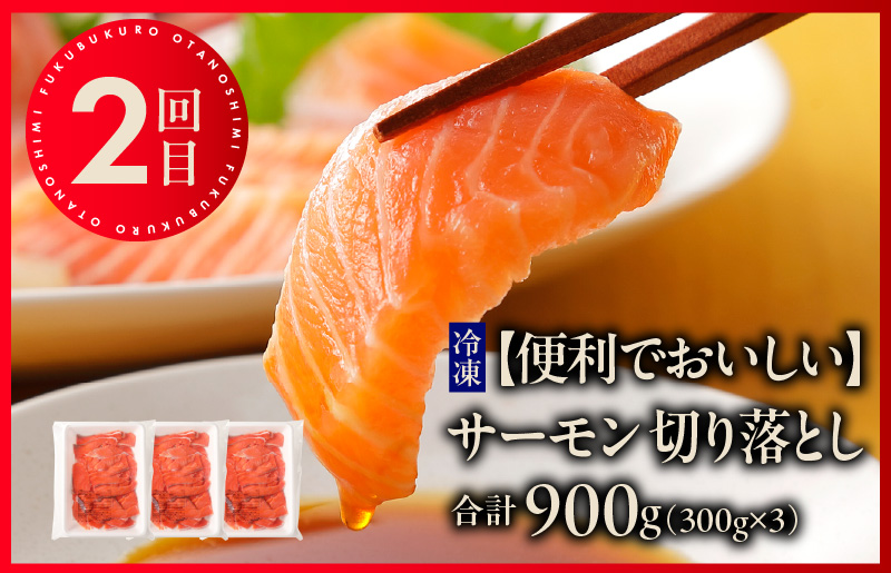 泉佐野お楽しみ福袋 定期便 全3回 牛肉 ステーキ 海鮮 サーモン 野菜【毎月発送コース】