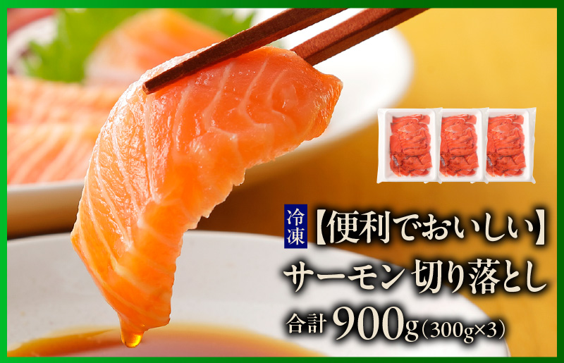 泉佐野 お楽しみ 福袋（牛肉 ステーキ 海鮮 サーモン 野菜セット）【別送】