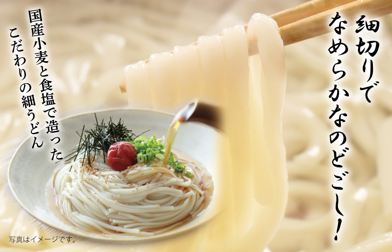 麺名人 国産小麦 細うどん 12食【個包装 冷凍 惣菜 麺 簡単調理 一人暮らし】