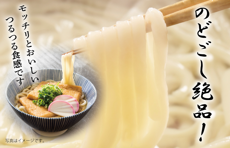 麺名人 つるつるうどん 30食【個包装 冷凍 惣菜 麺 簡単調理 一人暮らし】