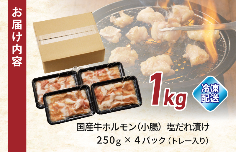 国産 牛肉 ホルモン 1kg 塩だれ漬け 焼肉用 小分け 250g×4P【牛肉 焼肉用 焼くだけ 小分け BBQ やきにく 数量限定】 010B1513