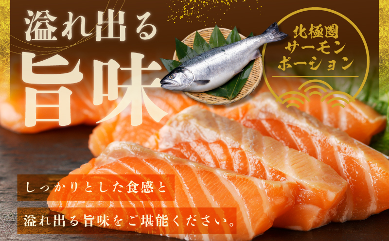 泉佐野セレクト 海鮮定期便 全4回 サーモン 天然まぐろ かつお 真鯛【毎月配送コース】