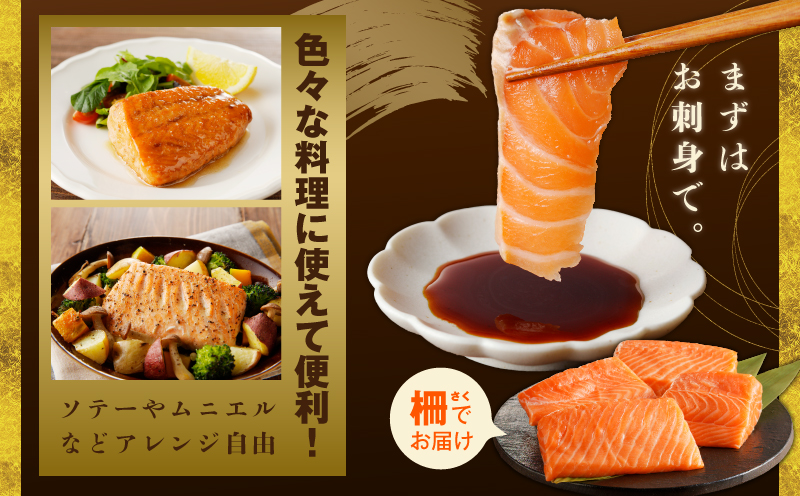 泉佐野セレクト 海鮮定期便 全4回 サーモン 天然まぐろ かつお 真鯛【毎月配送コース】