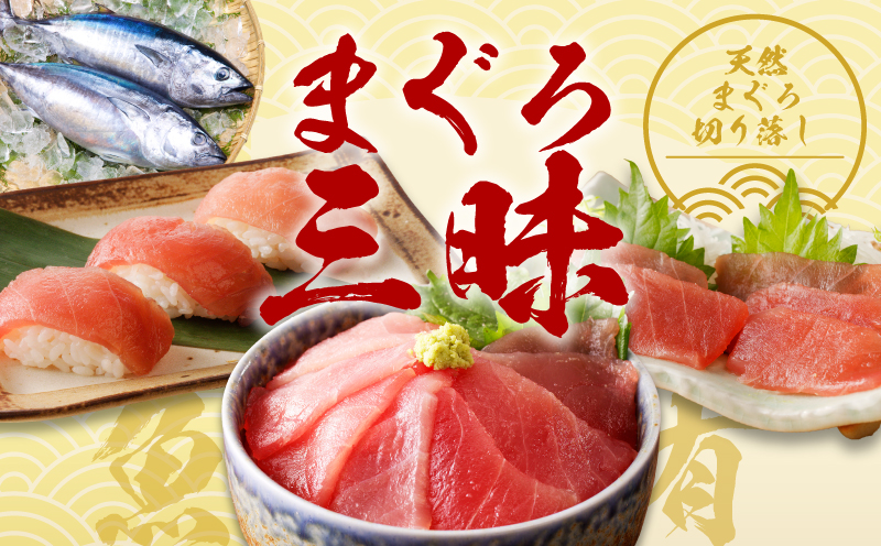 泉佐野セレクト 海鮮定期便 全4回 サーモン 天然まぐろ かつお 真鯛【毎月配送コース】