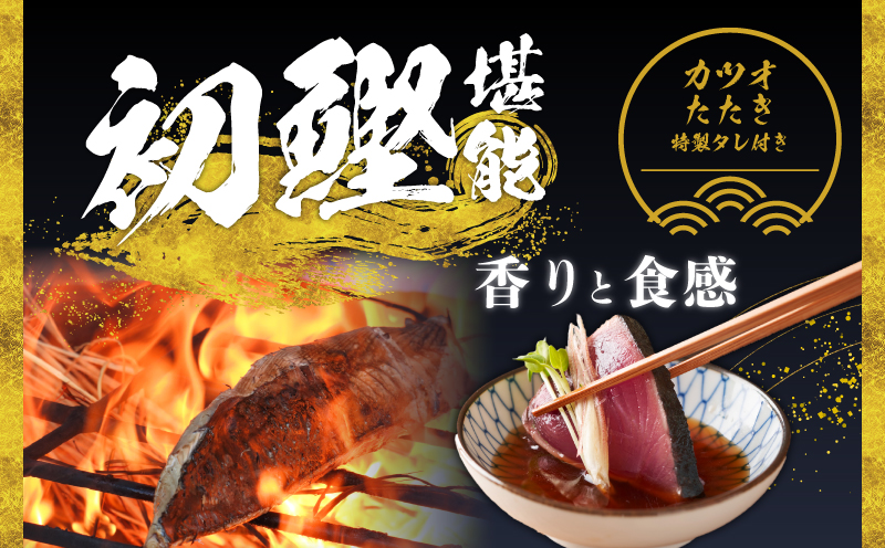 泉佐野セレクト 海鮮定期便 全4回 サーモン 天然まぐろ かつお 真鯛【毎月配送コース】