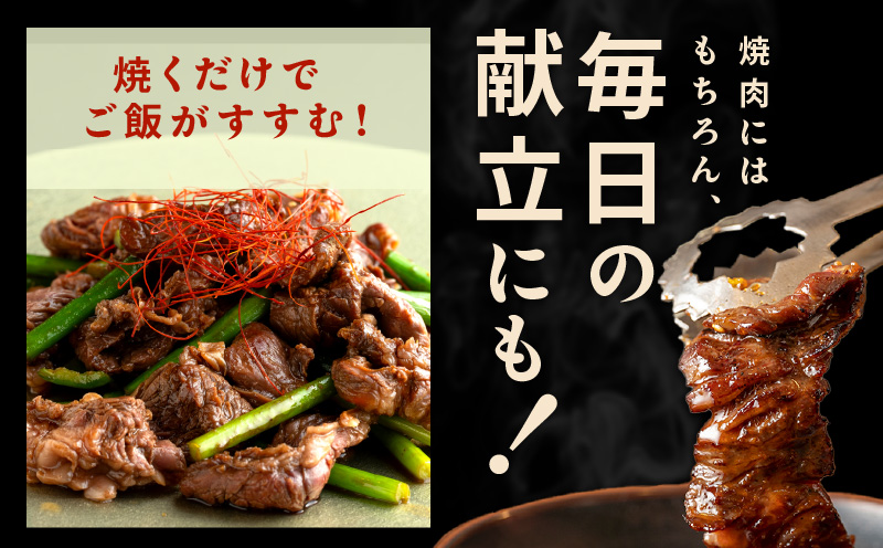 焼き肉専門店 自家製タレ漬け ハラミ 合計500g（250g×2） 099H2300