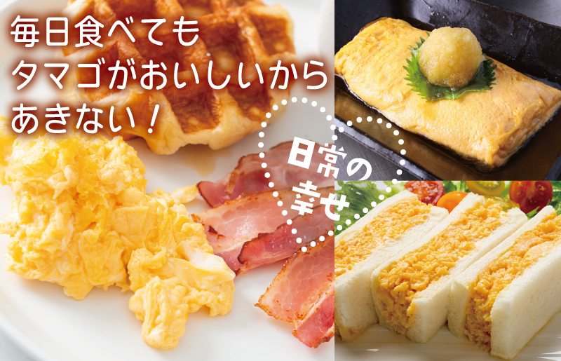 戸野さん家のこだわりタマゴ とのたま 定期便 合計 180個（Mサイズ：60個×全3回）【毎月配送コース】 099Z164