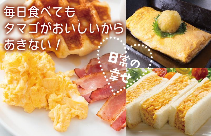 戸野さん家のこだわりタマゴ 定期便 60個×全3回 Mサイズ 合計 180個【毎月配送コース 卵 たまご 国産 濃厚 とことん餌にこだわった とのたま 大阪 泉佐野 大阪府 泉佐野市】