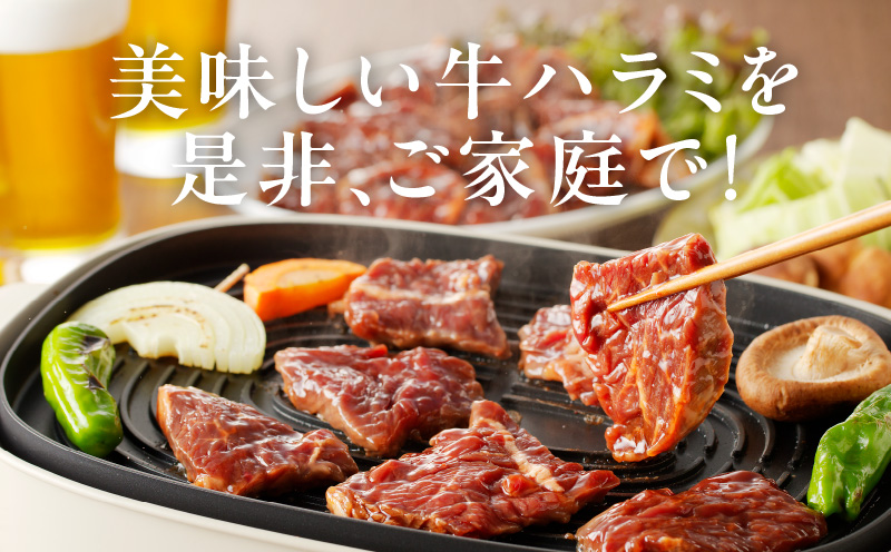 冷蔵配送 牛ハラミ タレ漬け 焼肉用 900g（300g×3） 010B1522