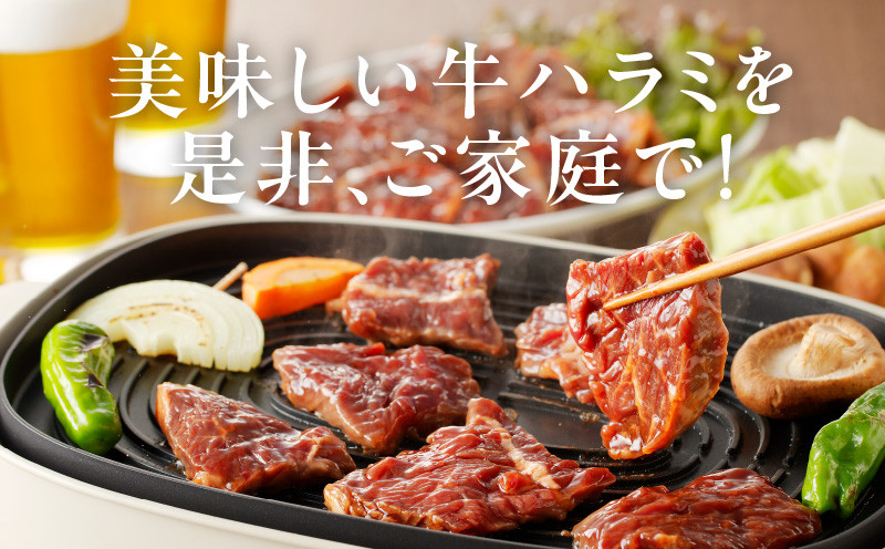 牛ハラミ肉 3kg（300g×10）秘伝の赤タレ漬け 訳あり サイズ不揃い G1160