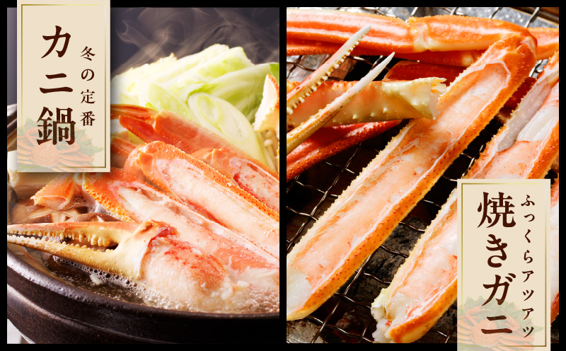 生ずわい蟹 2kg 5Lサイズ 4肩前後 昆布仕立て