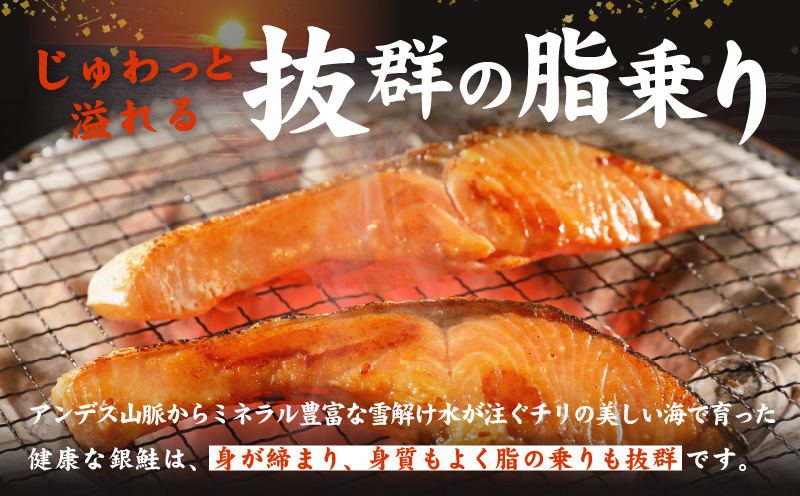 熟成 銀鮭 切り身 辛口塩味 合計 1.5kg（13切れ前後）