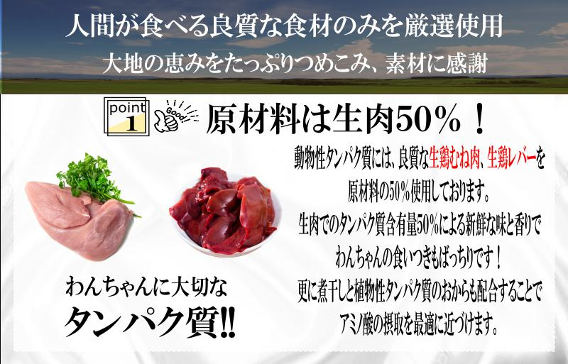 【定期便】国産 無添加 ドッグフード「いのちのごはん」500g×全3回【毎月配送コース】 099Z168