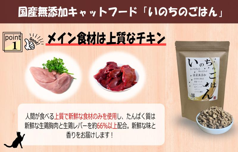 【定期便】国産 無添加 キャットフード「いのちのごはん」500g×全3回【毎月配送コース】 099Z170