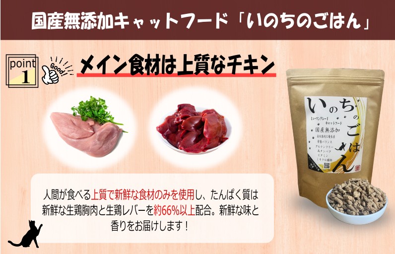 【定期便】国産無添加 キャットフード 500g×全3回「いのちのごはん」タンパク質 66％以上配合タイプ【猫 ねこ ペットフード チキン 手作り ヒューマングレード 国産 毎月配送】