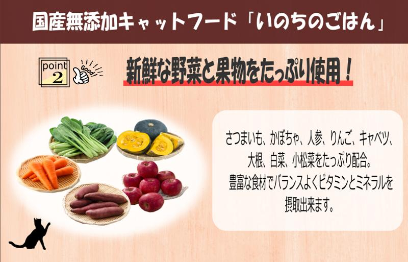 【定期便】国産 無添加 キャットフード「いのちのごはん」500g×全6回【毎月配送コース】 099Z176