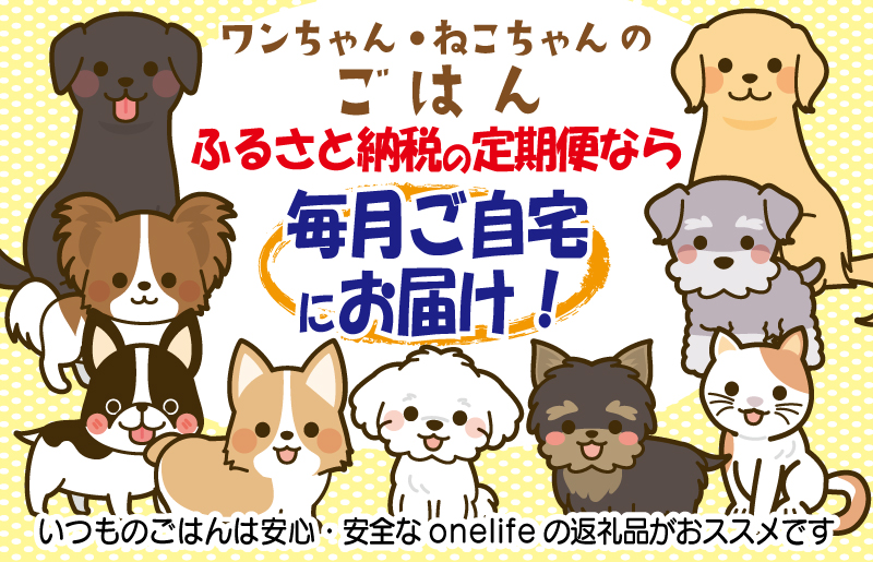 【定期便】国産無添加 キャットフード 500g×全6回「いのちのごはん」タンパク質 66％以上配合タイプ【猫 ねこ ペットフード チキン 手作り ヒューマングレード 国産 毎月配送】