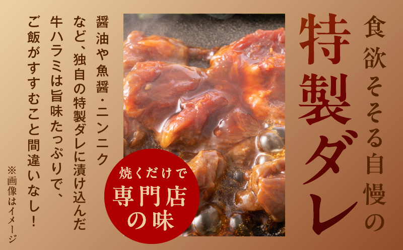 牛ハラミ 暴れ盛り 総量 1.15kg 小分け 牛肉 肉コンシェルジュ厳選 期間限定 099H2839