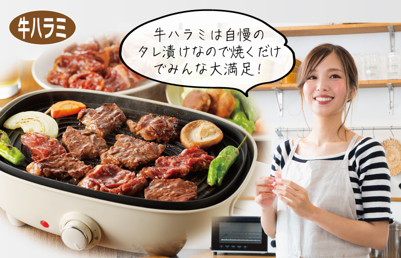 主婦が選んだ まんぷく セット（牛肉 ハラミ 銀鮭 切り身 たまご 野菜）【別送】