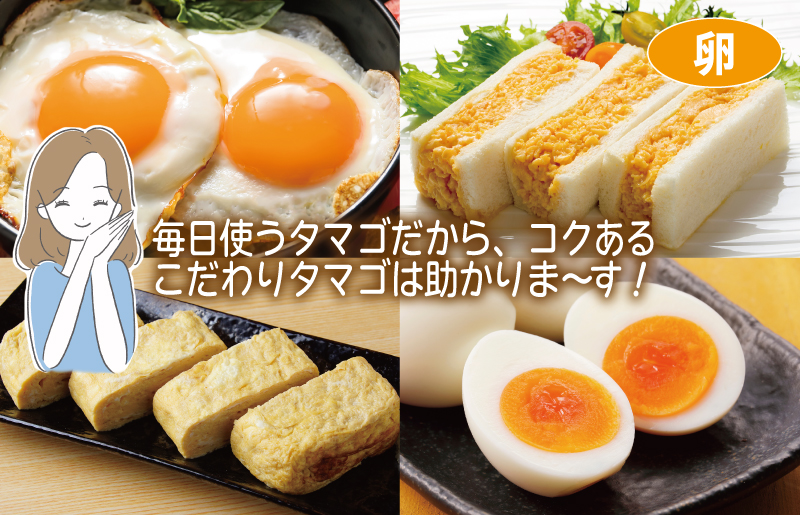 主婦が選んだ まんぷく セット（牛肉 ハラミ 銀鮭 切り身 たまご 野菜）【別送】