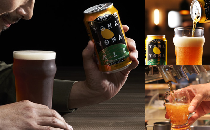 よなよなエール 24本 定期便 全12回【毎月配送コース クラフトビール ビール お酒 BBQ beer びーる 宅飲み 家飲み 晩酌 人気 高評価 家計応援 ふるさと納税限定 泉佐野オリジナル ヤッホーブルーイング】