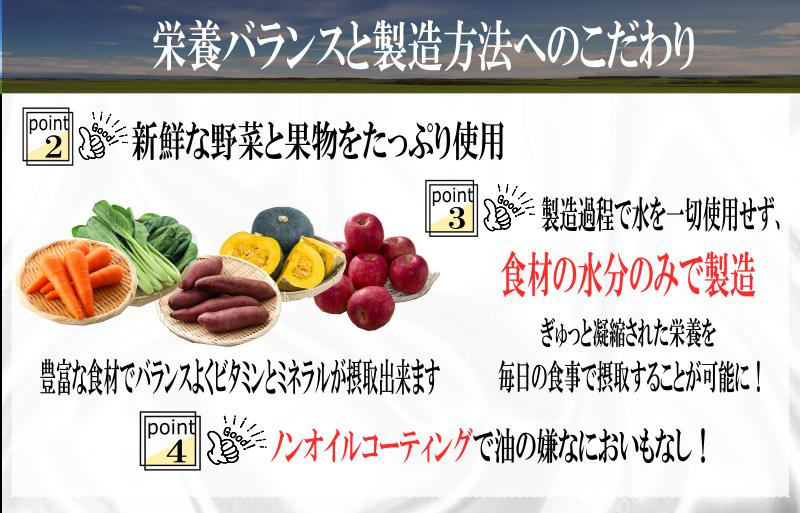 国産無添加ドッグフード「いのちのごはん」500g 099H2020