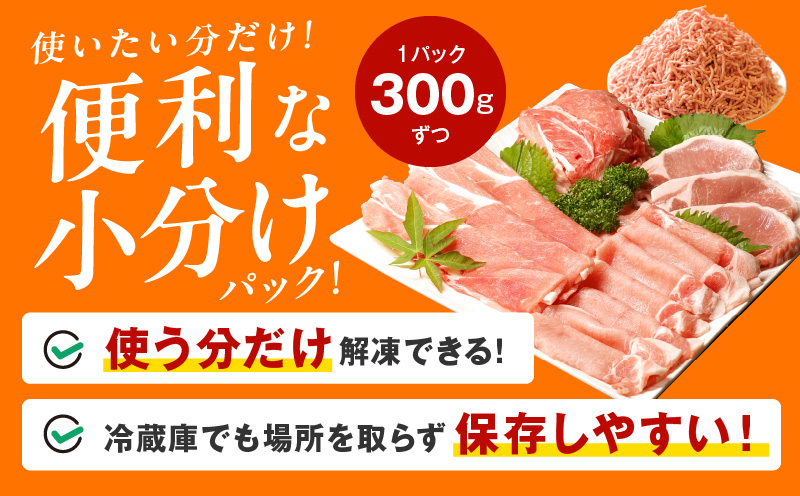 【氷温熟成×極味付け】国産 豚肉 5種 食べ比べ 合計 1.5kg（切り落とし/ロースステーキ/ももスライス/ローススライス/ミンチ）小分け mrz0034