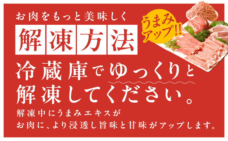 【氷温熟成×極味付け】国産 豚肉 5種 食べ比べ 合計 1.5kg（切り落とし/ロースステーキ/ももスライス/ローススライス/ミンチ）小分け mrz0034