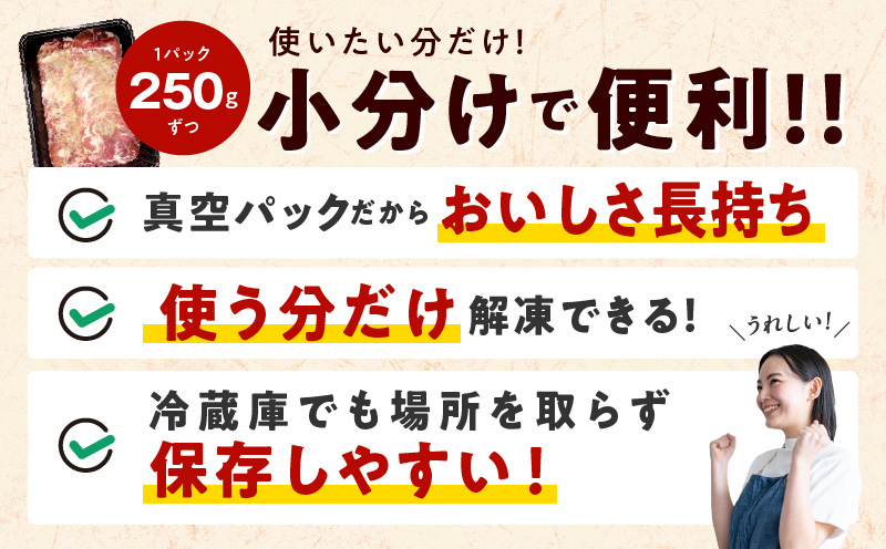 ねぎ塩 牛たん（成型）合計 1.5kg 小分け 250g×6【牛タン 牛肉 焼肉用 薄切り 訳あり サイズ不揃い】 G1169