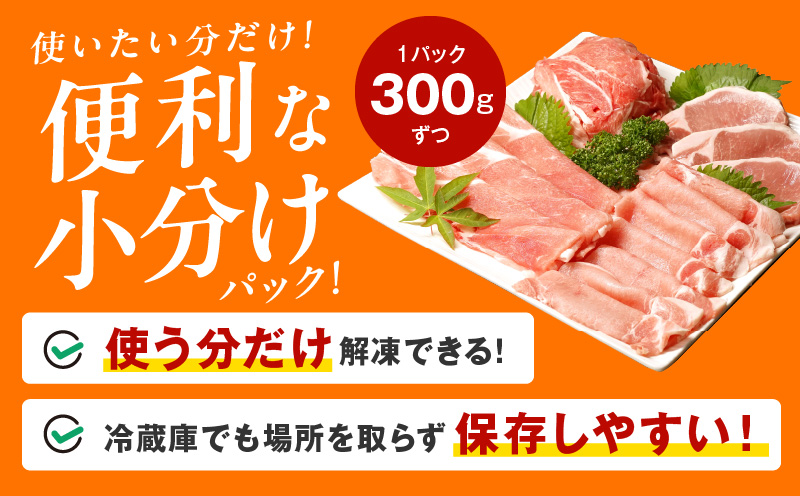 【氷温熟成×極味付け】国産 豚肉 4種セット 定期便 1.2kg×3回 小分け【毎月配送コース】 099Z211