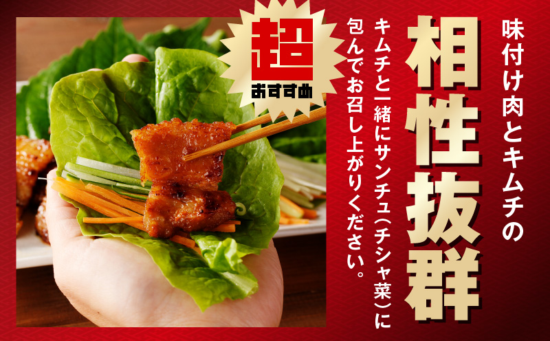 【焼くだけ】味付きサムギョプサル 約1kg（500g×2P） プルコギ風味とコチュジャン味付け 食べ比べセット 焼肉 BBQ デジカルビ