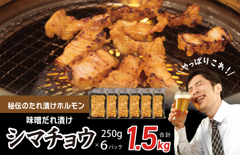 【焼肉屋の定番】シマチョウ 味噌だれ漬け 1.5kg【小分け 250g×6 牛肉 ホルモン 焼肉用 】 010B1517